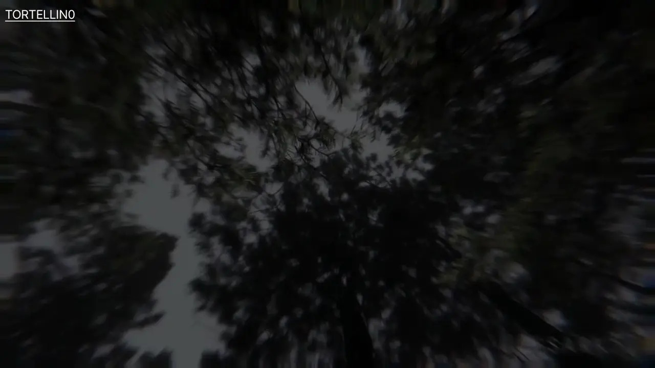 Monster girls PMV/HMV - By T0RTELLIN0