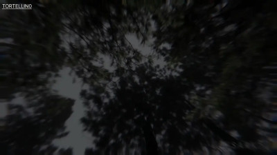 Monster girls PMV/HMV - By T0RTELLIN0