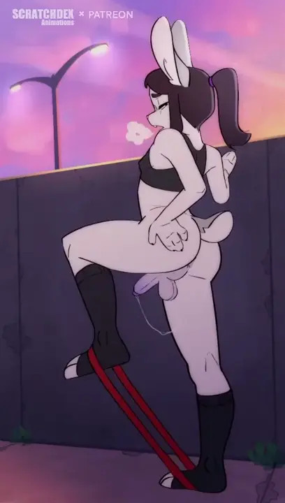 Rabbit's Workout [Scratchdex]