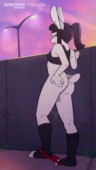 Rabbit's Workout Gets Interrupted [Full] [Scratchdex]