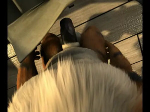 [H0rs3] Arcanine Muscle Growth Animation