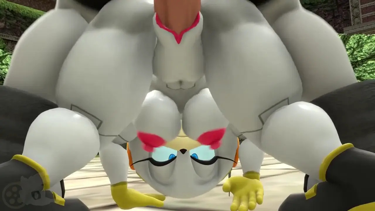 Adam x Zeta The Echidna