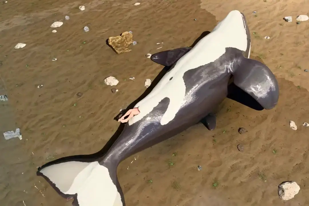 Cetacean unbirth
