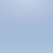 POV - Judy sits on your face