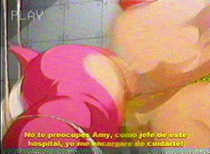 Amy Rose treated at the hospital