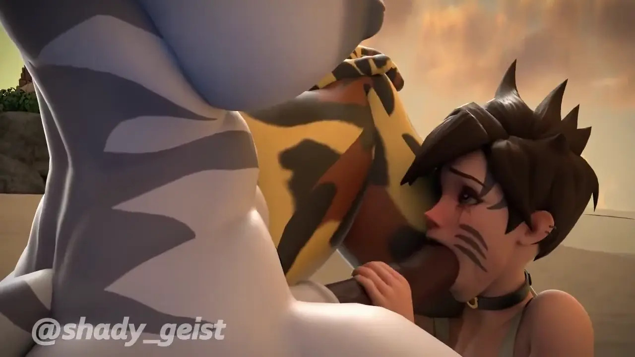 Cucked by a futa Zebra