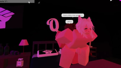 A Night With A Kitten