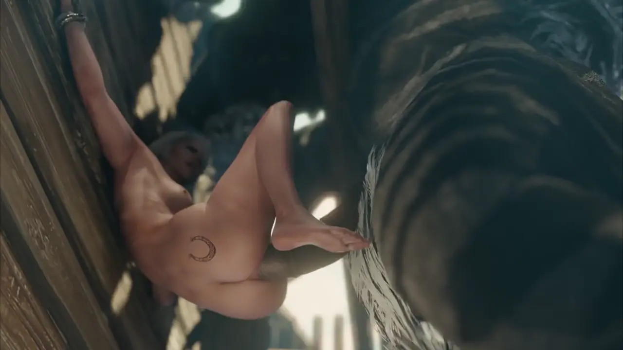 Ciri's Witcher Contracts『Zmsfm』