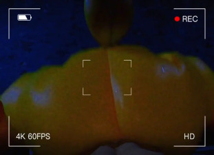 Testing Animatronics