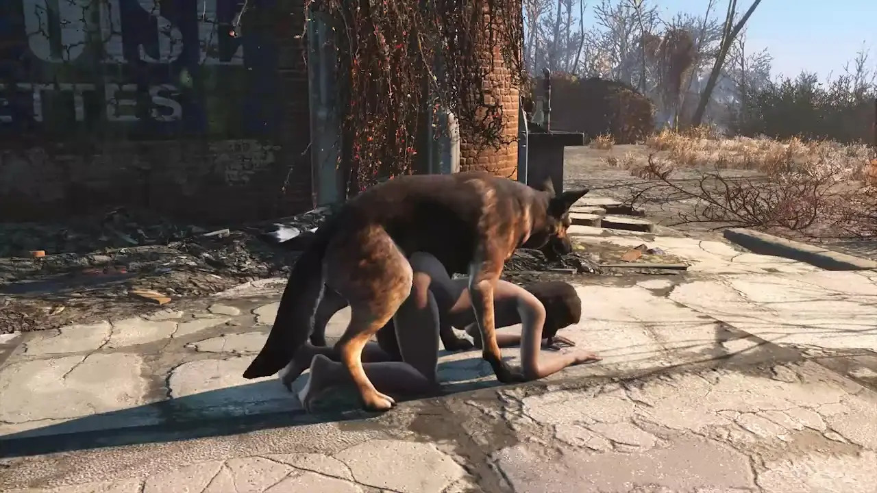 Dog meat and Nora 2