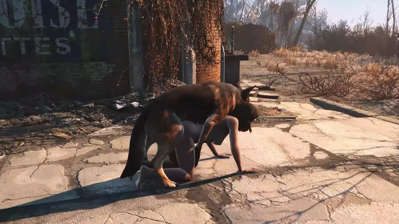 Dog meat and Nora