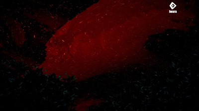 【FantaC】2025.03 camellya