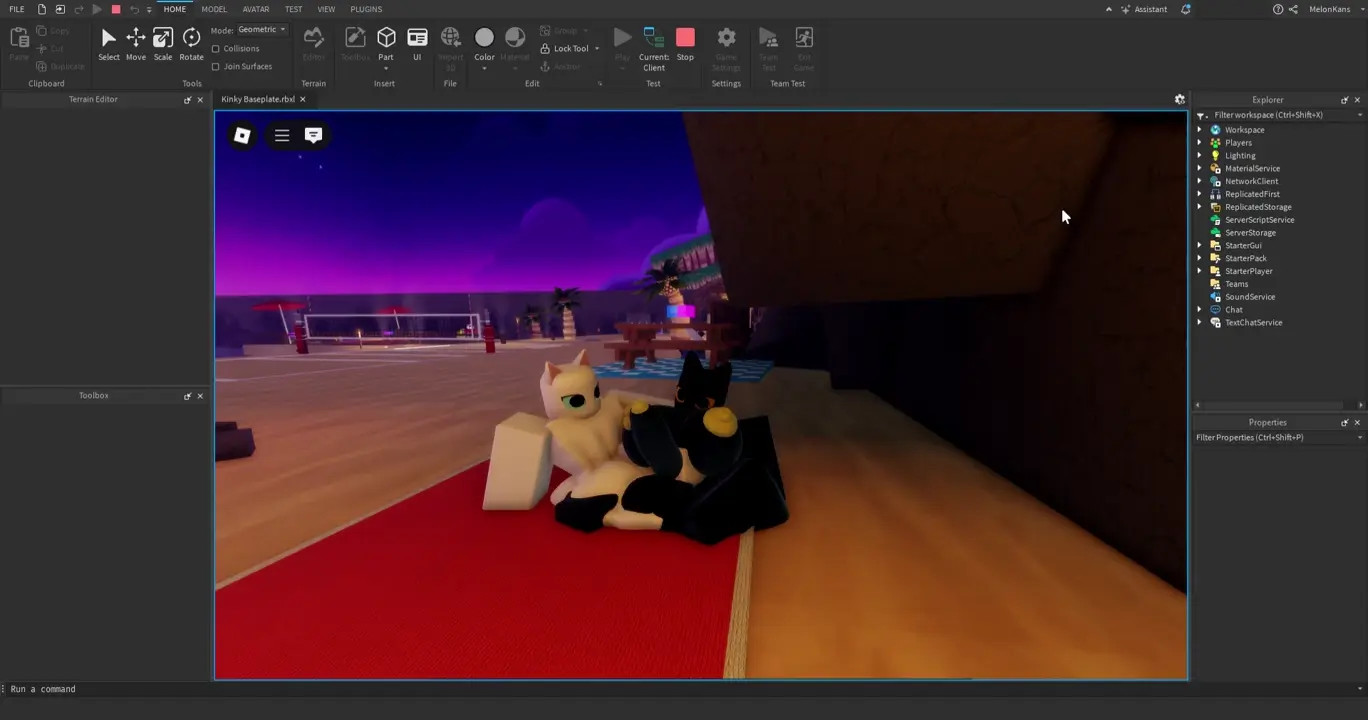Cat vid :p