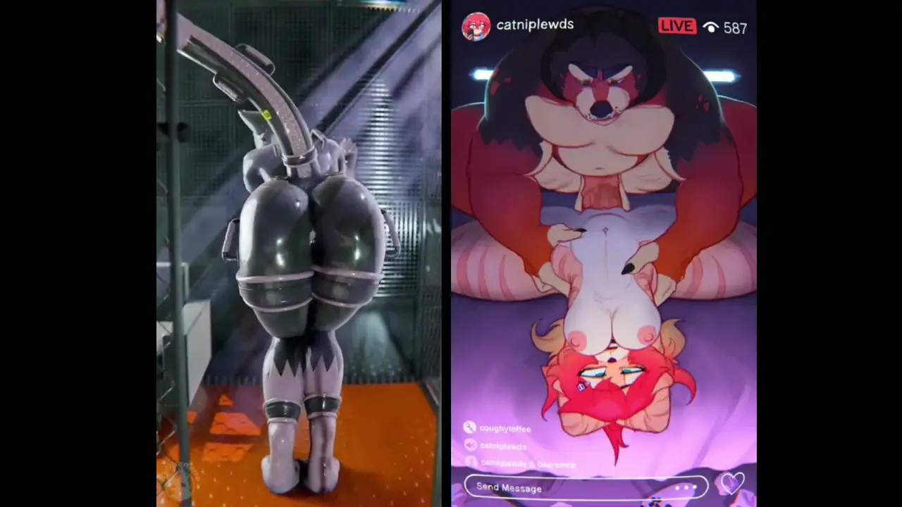 Furry Porn Comp [With sound and quiet bgm]