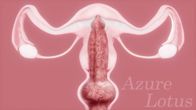 LightningXWerewolf Commission#2