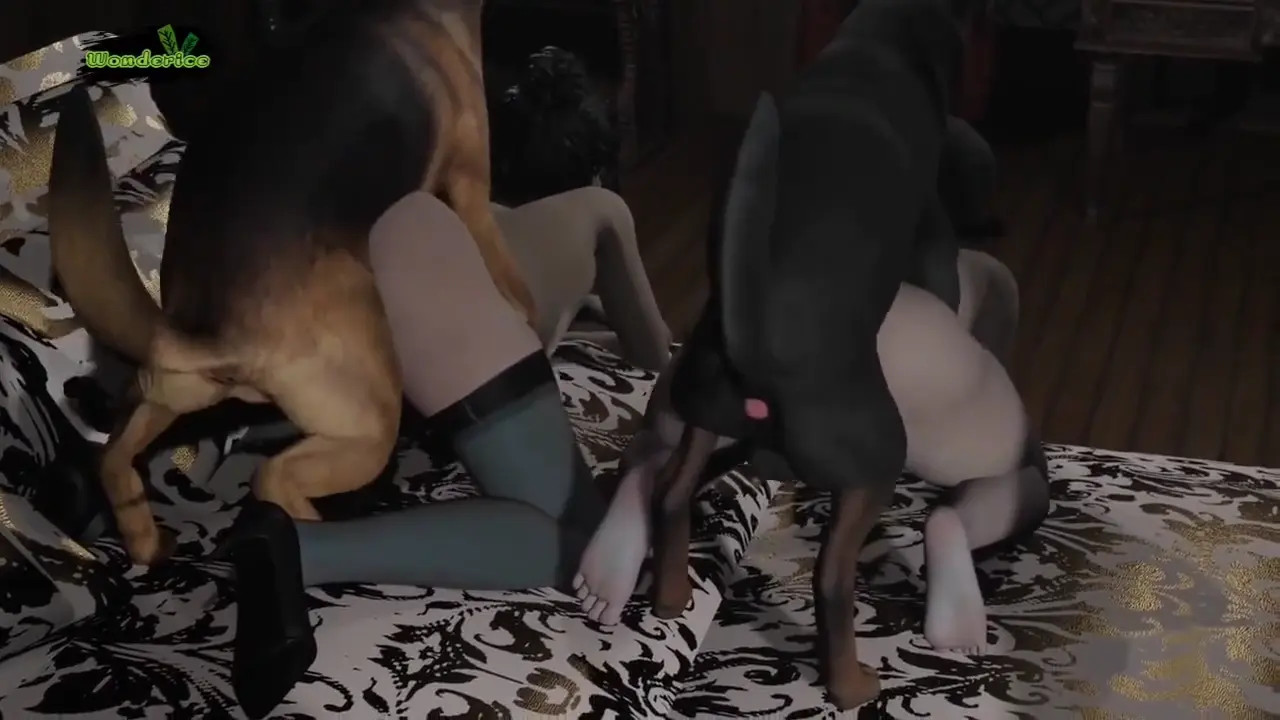 Resident Evil x Dog Party