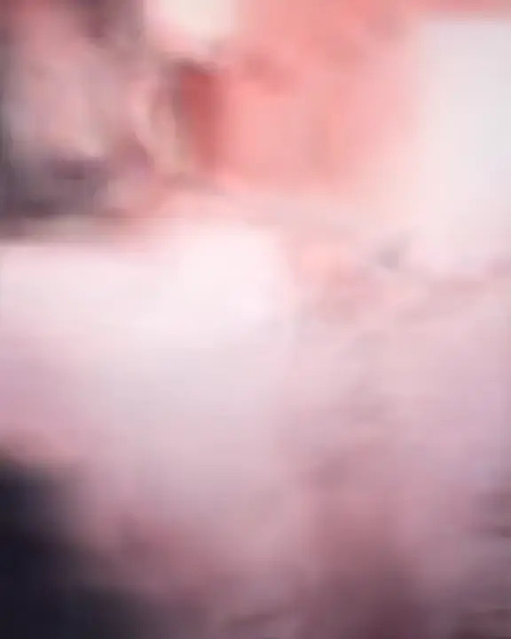 Hana's Mother Vs Yui's Mother HMV