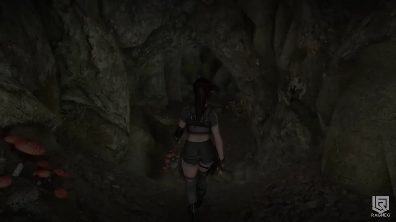 Charted Lara's Misfortune