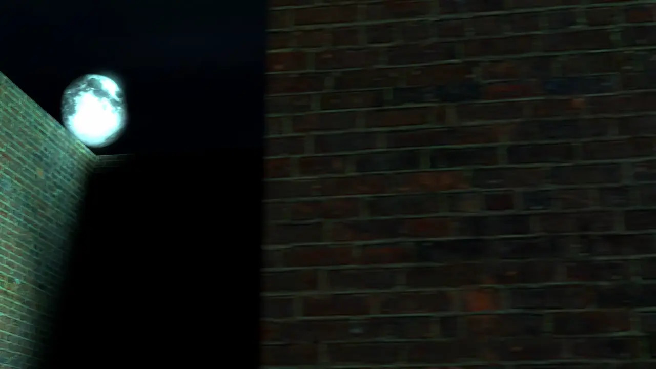 My hero catfight test