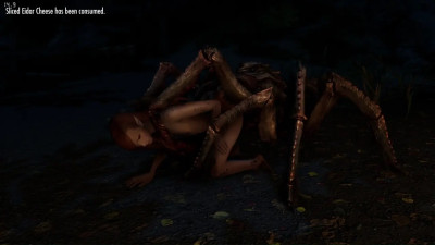 Chapter 3: Spider attack in the middle of the night - TESV: Skyrim AE