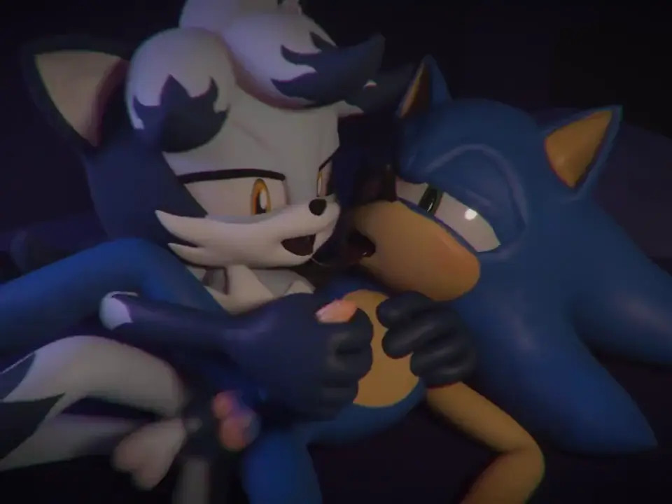 Sonic gay