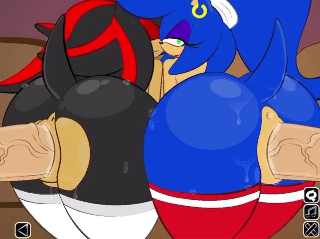 Sonic & Shadow