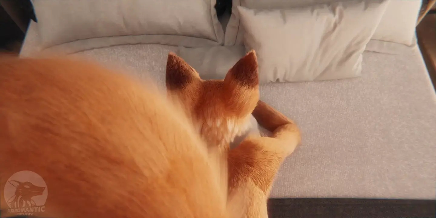 Having Fun With Sophie『Furromantic』