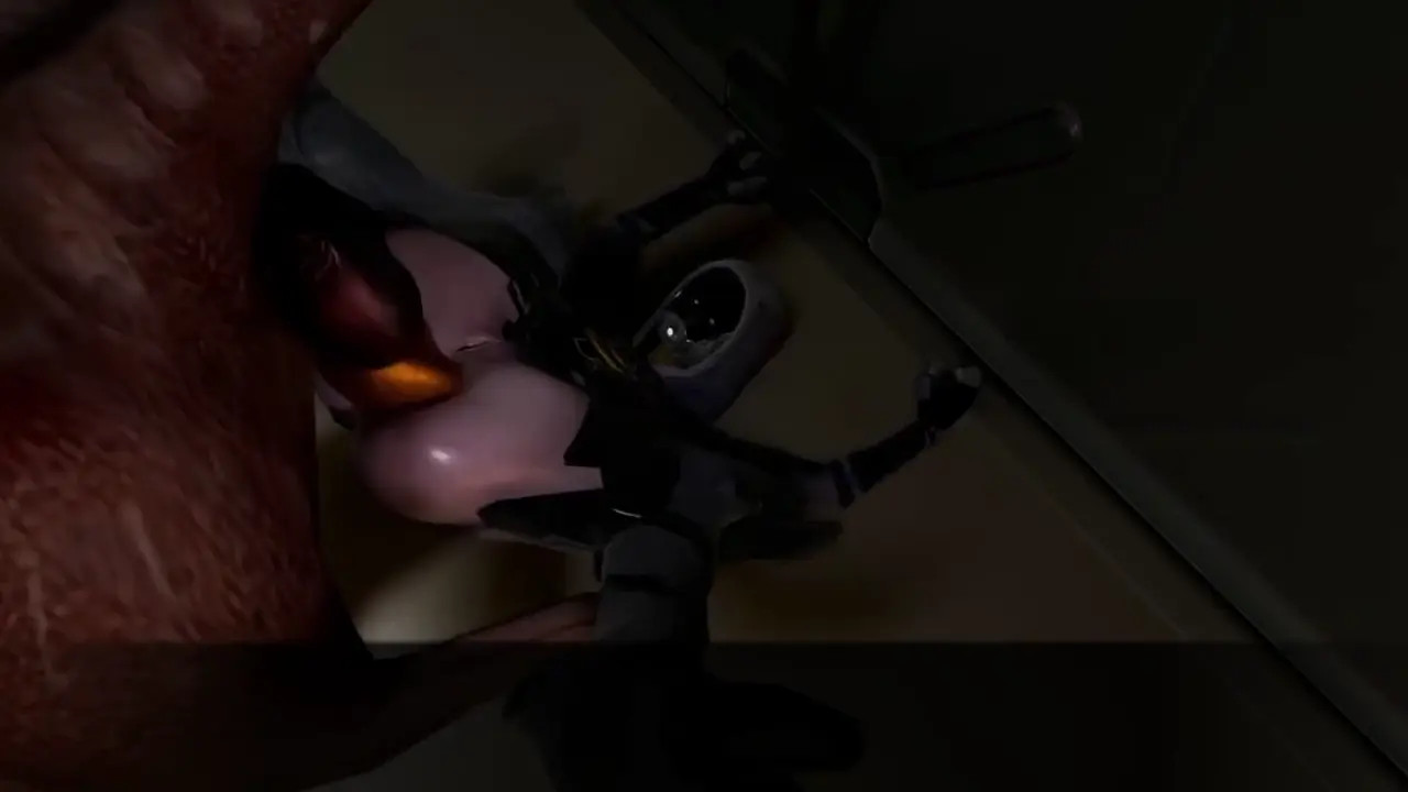 the pilagrimage - full animation (from game)