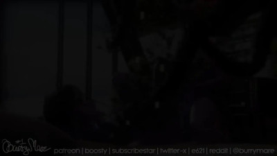 Similo Duplexis [Audio Version]