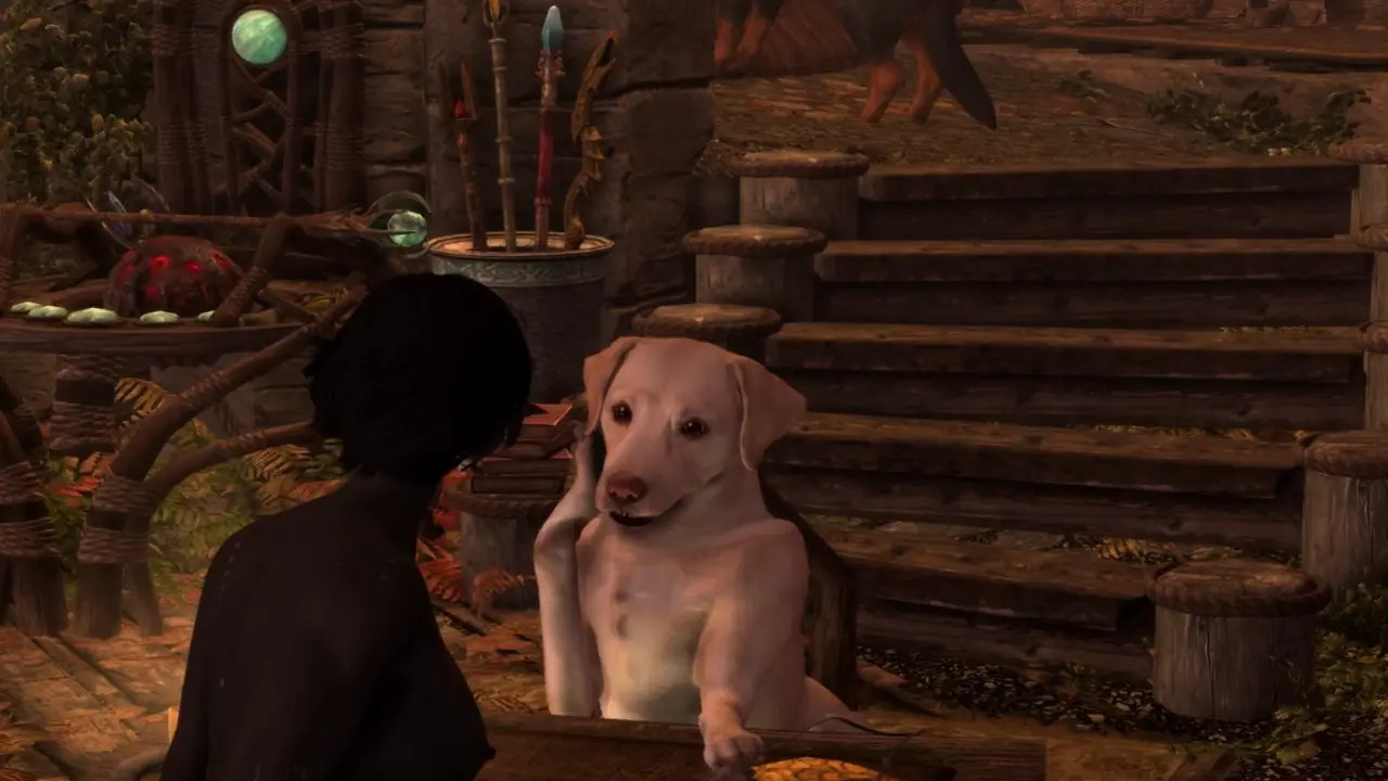 Gambling with Onyx