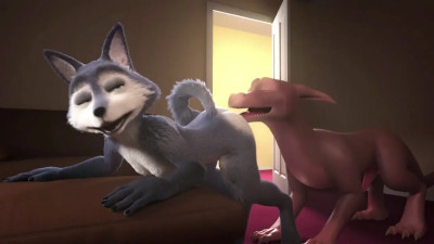 Crittermatic Compilation 2019