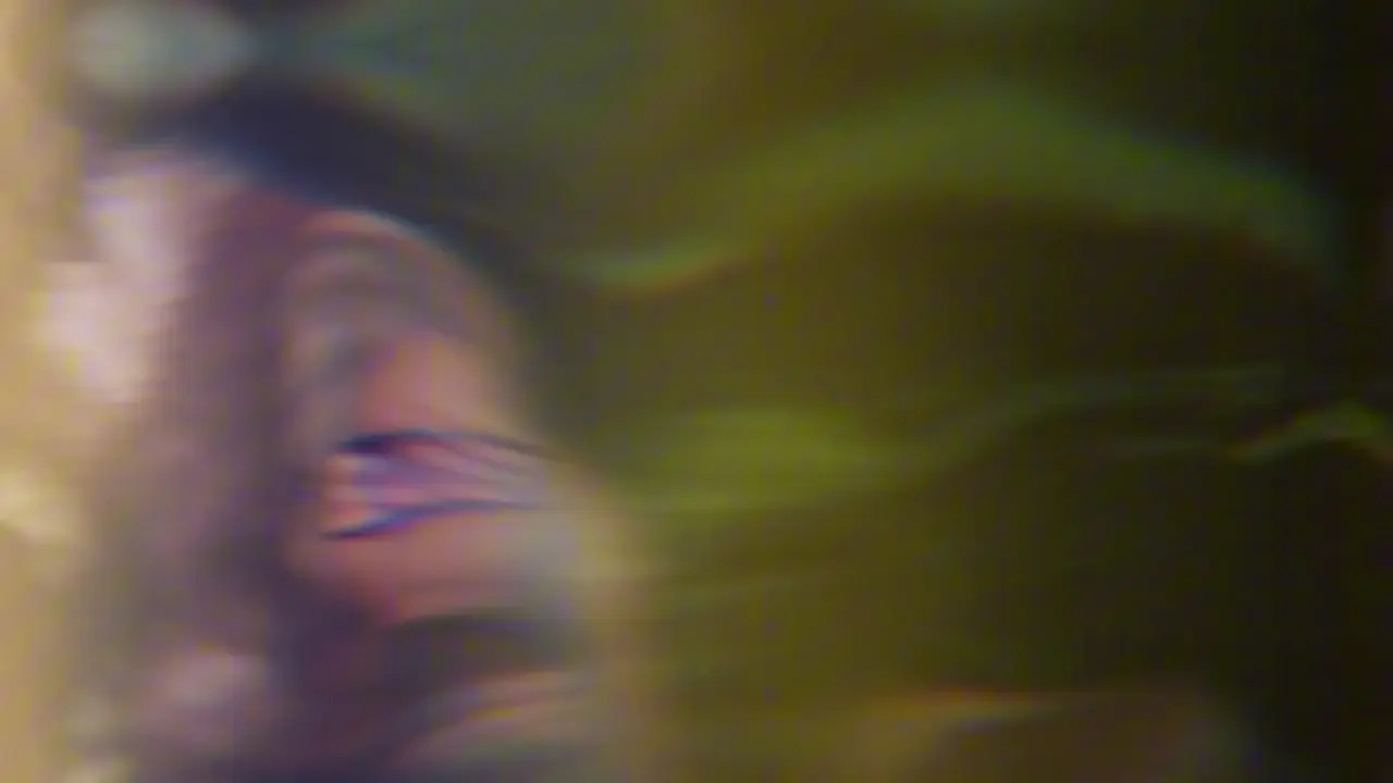 BLACKED pmv