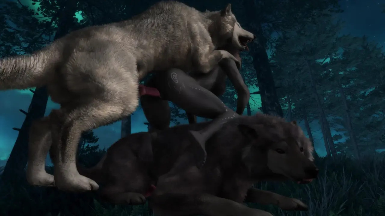 Two Wolves