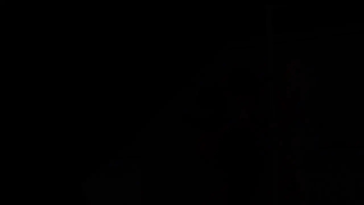 chiku and fexa used by toy chica