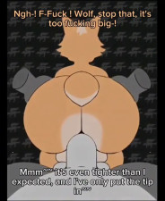 Wolf x Fox Beat Banger