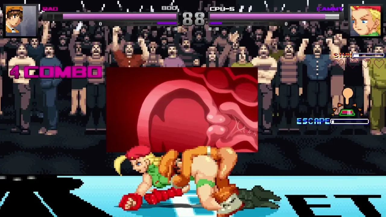 Cammy vs Bao