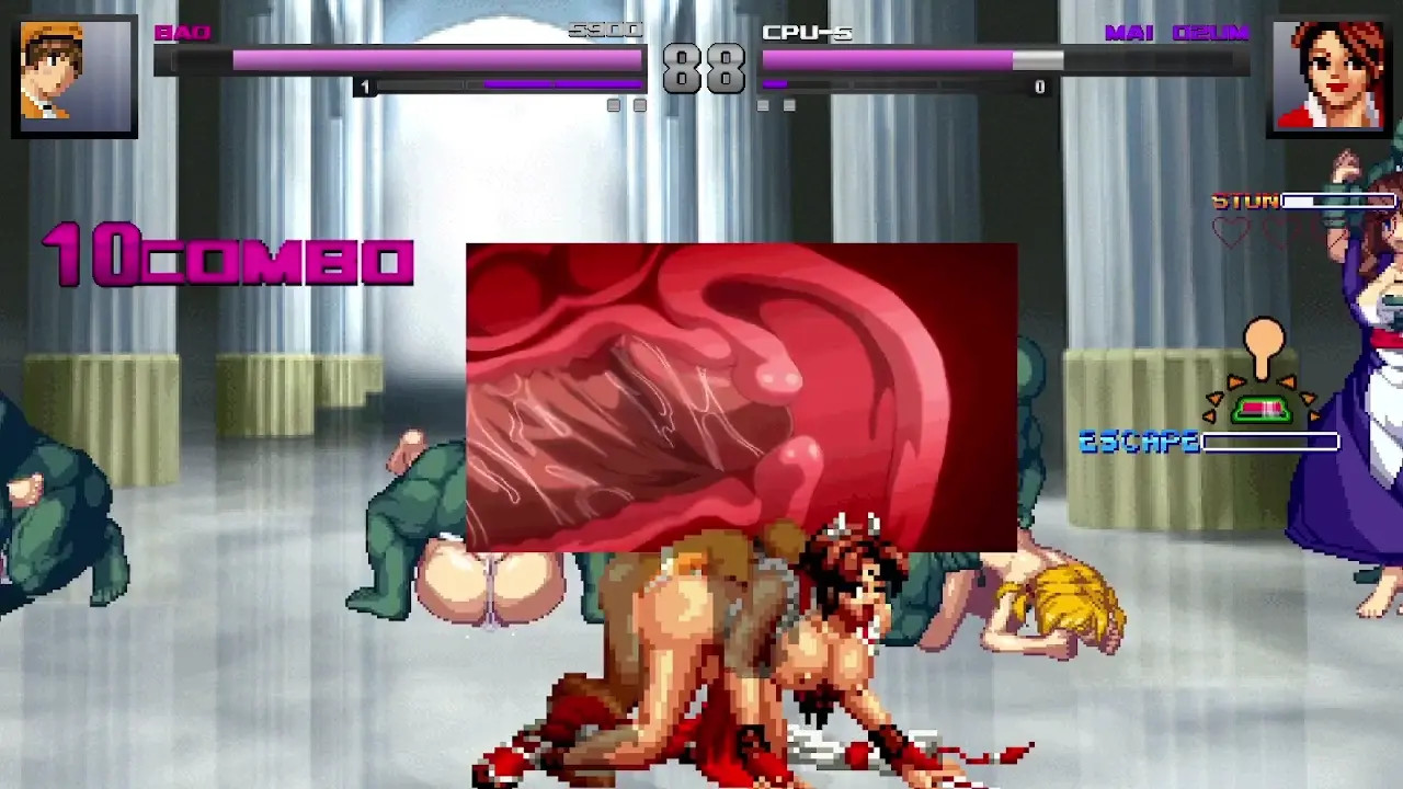 Mai Shiranui Vs Bao
