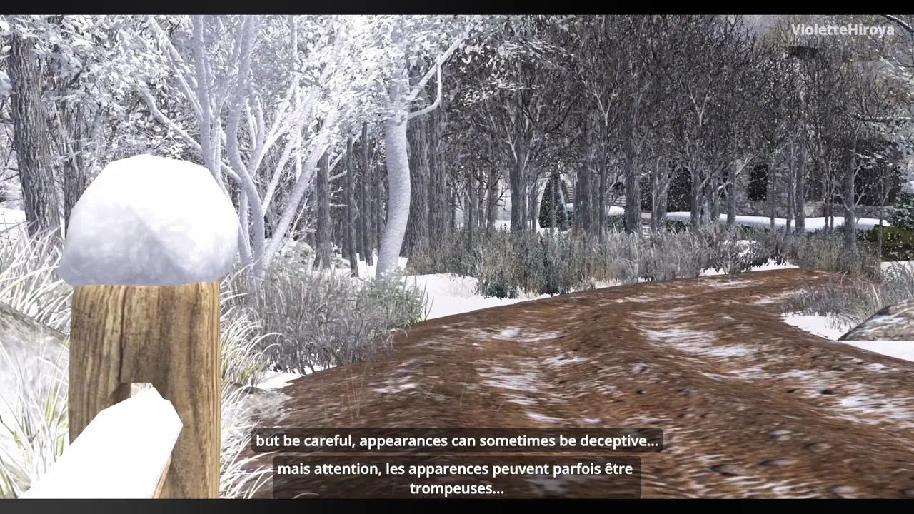 The woman vacationer trapped by the infamous snowman