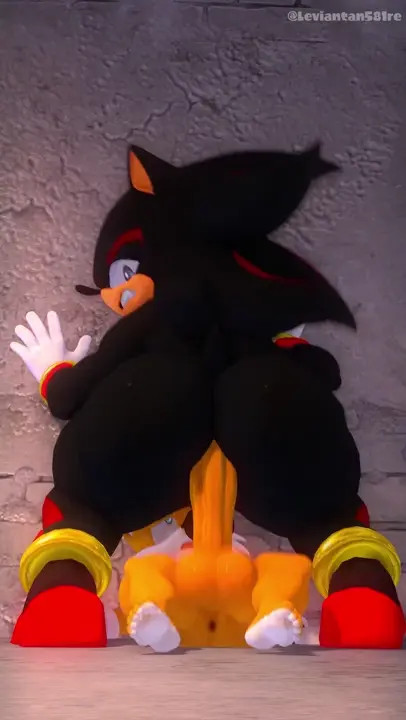 shadow riding tails