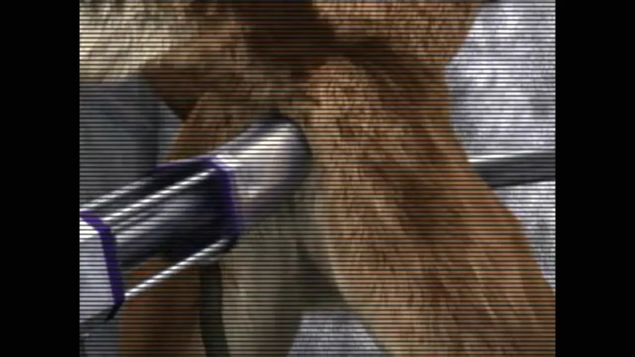 Ass Cam 1 Taurin Fox