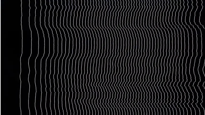 Brand New Feast - (Zanjivision)