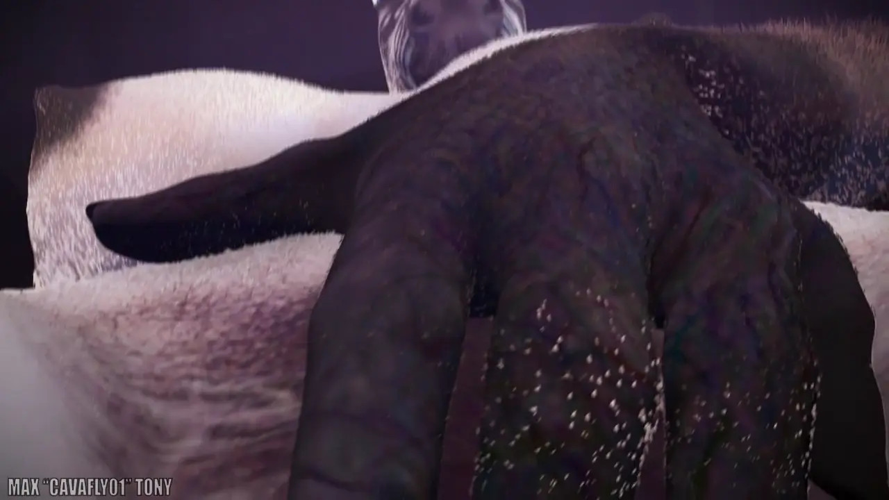 zebra compilation