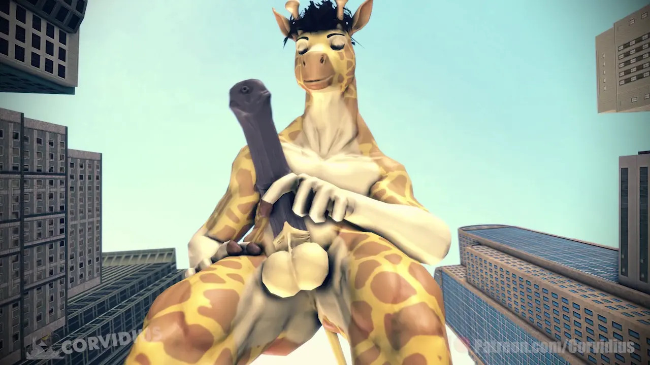 Big N Tall