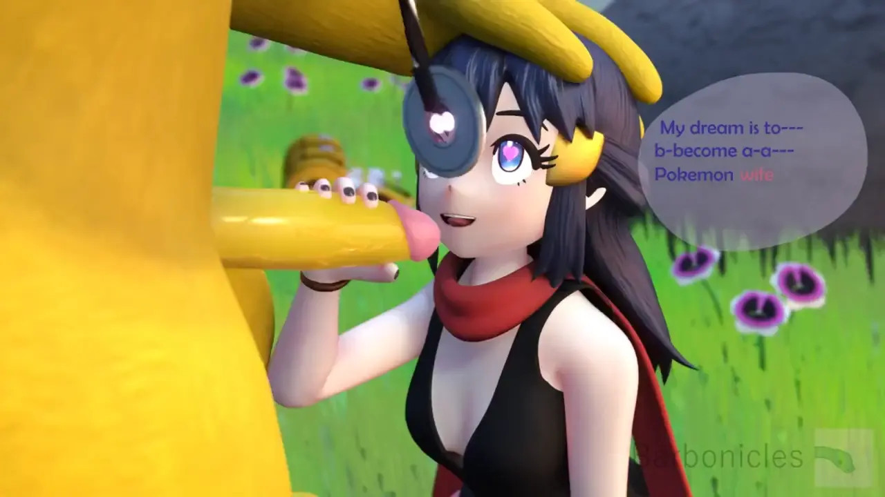 HMV Training Poketrainers