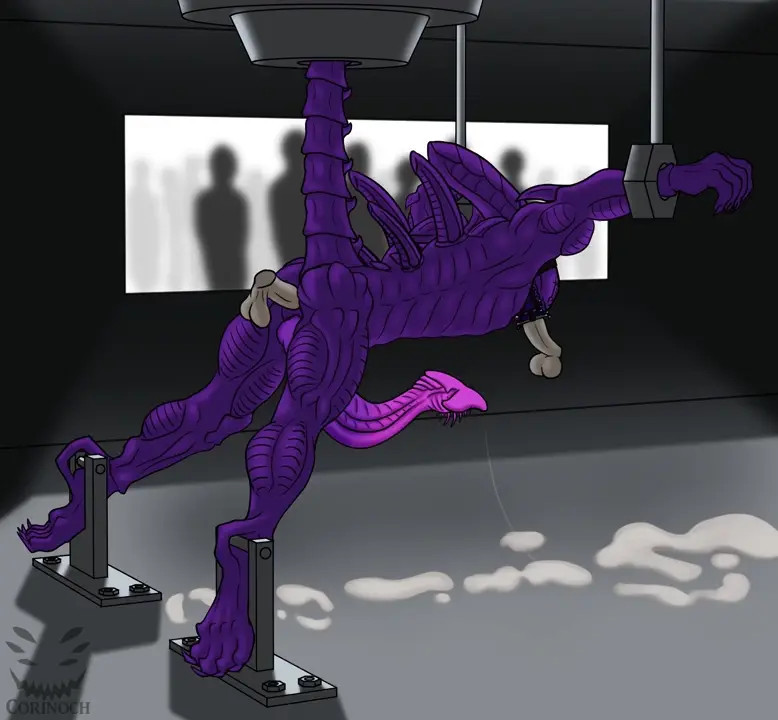 Xenomorph