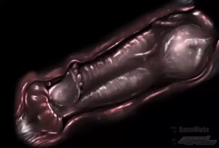 Knotting X-ray Loop (RavenWorks, Gemi Cross)