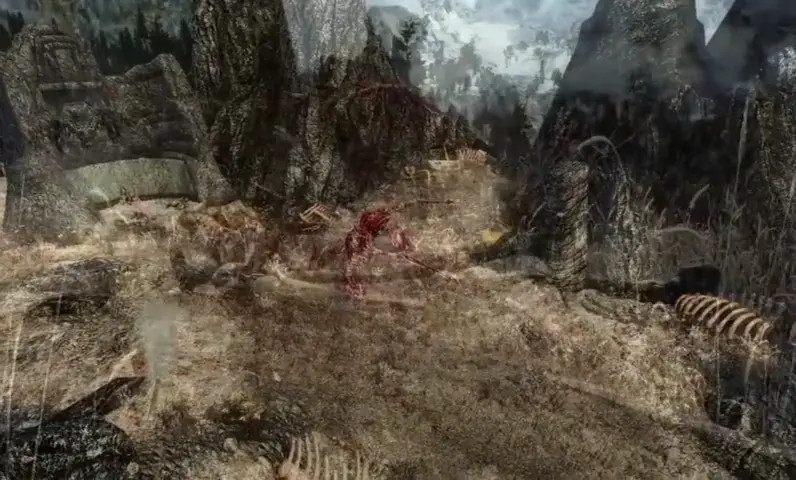 Dovahkiin and Amelica