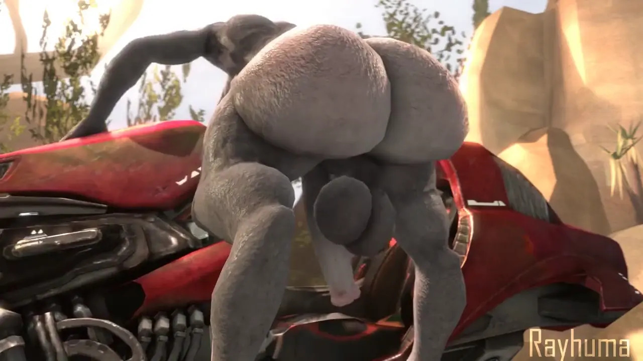 sangheili cleaning bike