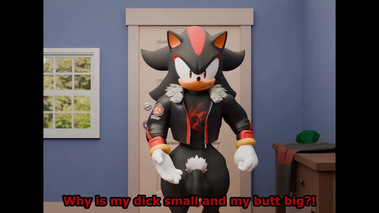 Sonic and Shadow make the most out of of it