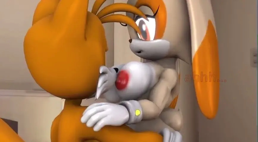 Tails and Cream In inside the Spring